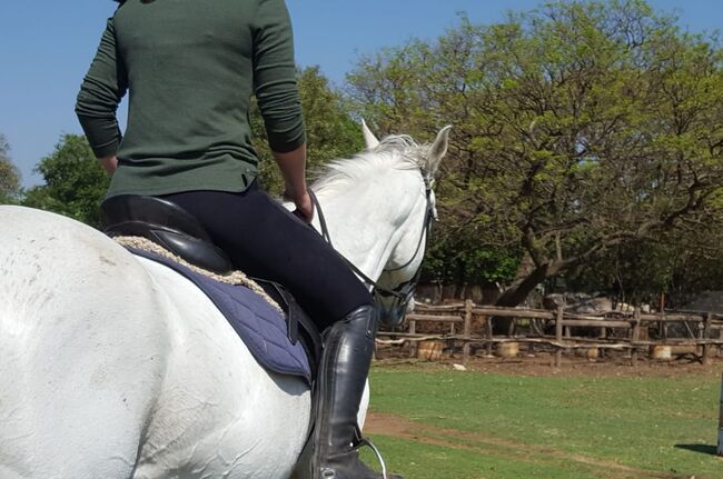 Ariat horse riding boots, Ariat, Micaela Labuschagne, Oficerki jeździeckie, Pretoria