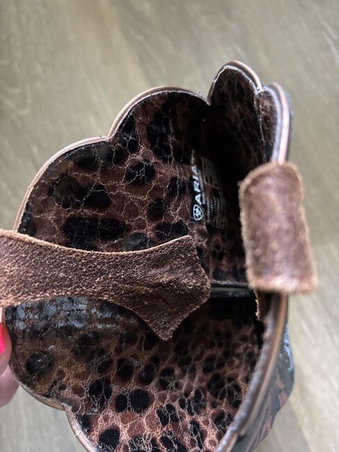 Ariat Boots Größe 39, aus den USA, Ariat, Kathrin, Riding Boots, Bietigheim-Bissingen, Image 5