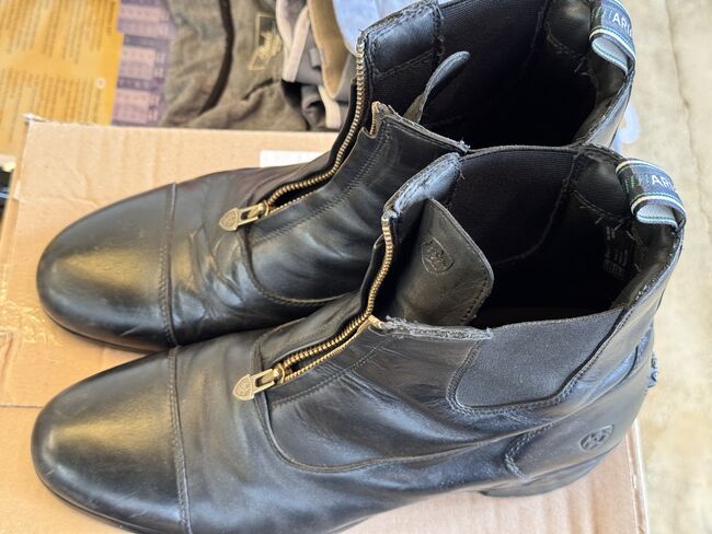 ARIAT Herren Zip Paddock, ARIAT Herren Zip Paddock , Susanne, Jodhpur Boots, Horst (Holstein)