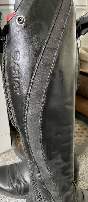 Ariat nitro Reitstiefel, Ariat, Dau-Schmidt, Reitstiefel, Neuenhaus 