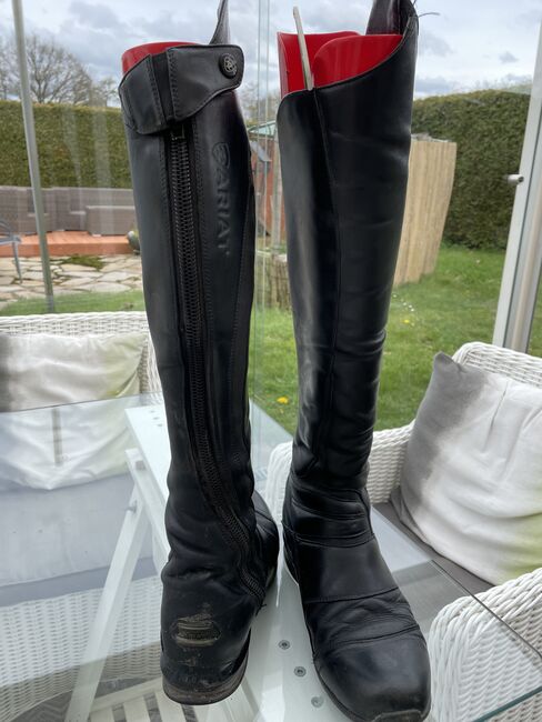 Ariat nitro Reitstiefel, Ariat, Dau-Schmidt, Riding Boots, Neuenhaus , Image 6