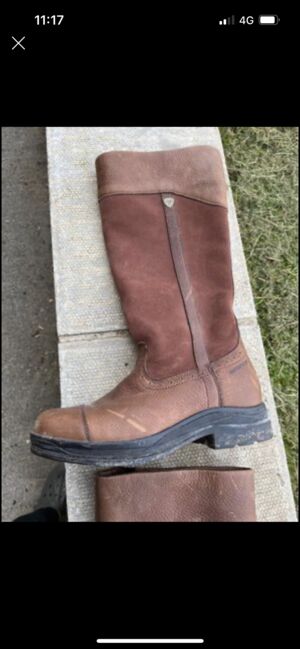 Ariat riding boots 6.5, Ariat , Victoria , Riding Boots, Sheffield , Image 5