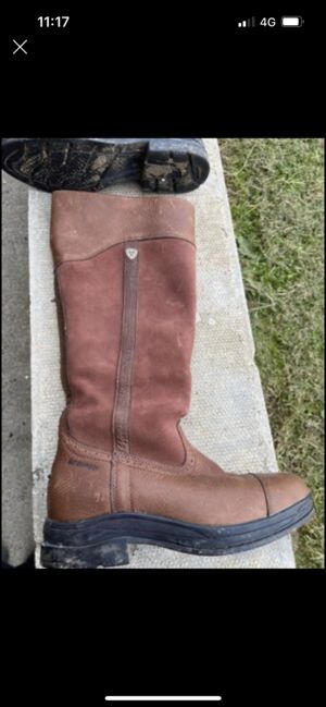 Ariat riding boots 6.5, Ariat , Victoria , Riding Boots, Sheffield , Image 2