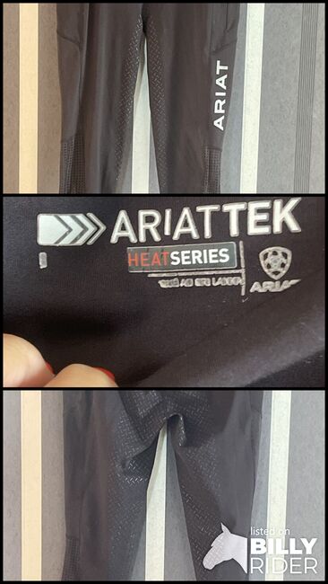 Ariattek Reithose, Ariat  Ariattek , Martina Dahlberger, Breeches & Jodhpurs, Rieschweiler - Mühlbach, Image 4