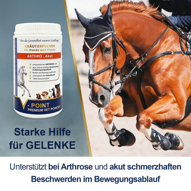 ARTHRO Akut – Premium Kräuterpulver für Hunde und Pferde, V-POINT VP-KP-ArthAk-500-1, V-POINT premium pet food GmbH, Horse Feed & Supplements, Hausmannstätten, Image 2