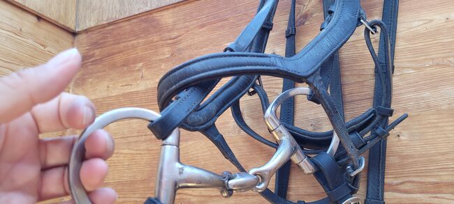 Ascot Trense Cob/VB mit Gebiss, anatomisches Reithalfter, Ascot Trense, anatomisches Reithalfter, YW, Bridles & Headstalls, Leonberg, Image 5