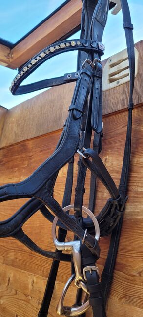 Ascot Trense Cob/VB mit Gebiss, anatomisches Reithalfter, Ascot Trense, anatomisches Reithalfter, YW, Bridles & Headstalls, Leonberg, Image 4