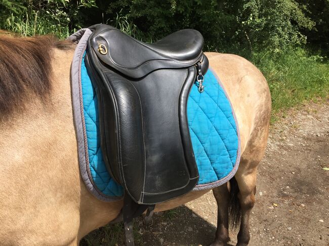 ASE Sattel, Töltsattel, Dressursattel, Isländer, ASE Sport, Daniela, Icelandic Saddle, Meinerzhagen , Image 5