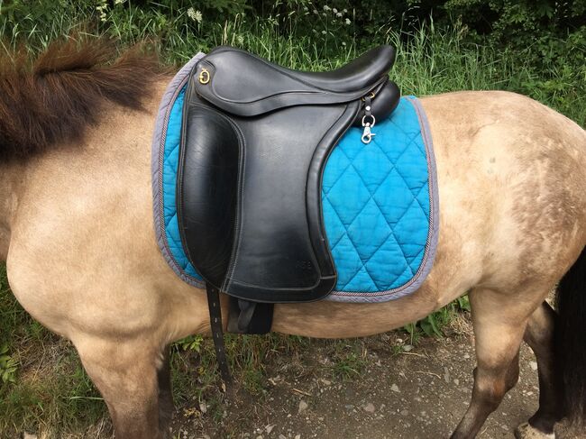 ASE Sattel, Töltsattel, Dressursattel, Isländer, ASE Sport, Daniela, Icelandic Saddle, Meinerzhagen 