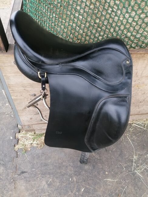 ASE Tölt Sattel, ASE ASE Tölt , Muffin, Icelandic Saddle, Schwülper