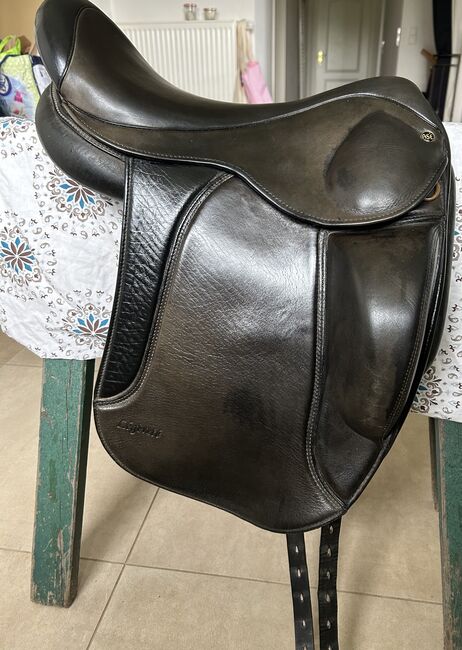 ASE Légèreté, ASE Légèreté, Klara Herzig, Icelandic Saddle, Bruchmuehlbach-Miesau, Image 2