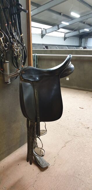 Ástund Winner+ 17.5" oder 18" gesucht, Ástund Winner +, Ida, Icelandic Saddle, Münster
