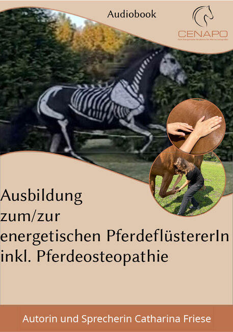 Audiobook Ausbildung zum/zur energet. PferdeflüstererIn inkl. Pferdeosteopathie, Audiobook, Cat Friese, Kursy i seminaria, Travenbrück