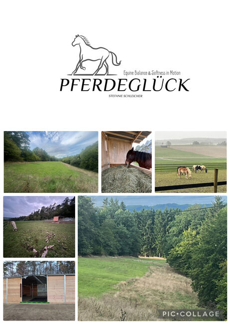 Aufzuchtplatz ab Mai 2026- Stuten, Stefanie Schleicher , Stallplätze, Nohn