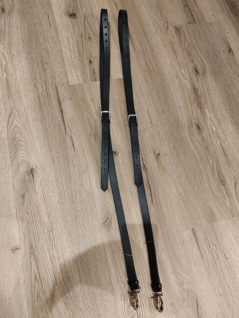 Ausbinder Größe Full, Dana, Hilfszügel, Herzebrock-Clarholz