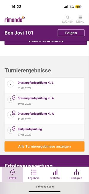 Ausdrucksstarker Wallach mit Qualität, Charme und Perspektive, Katharina Lehmann (Pferdevermittlung Leus), Pferd kaufen, Aalen, Abbildung 4