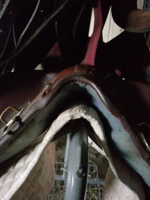 Aussie Saddle, Shona S Trappe, Other Saddle, MARION, Image 4