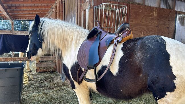 Australischer Stocksattel, Sattel mit Horn, Stocksattel, Isabel Mussgnug, Other Saddle, Dettenheim , Image 3