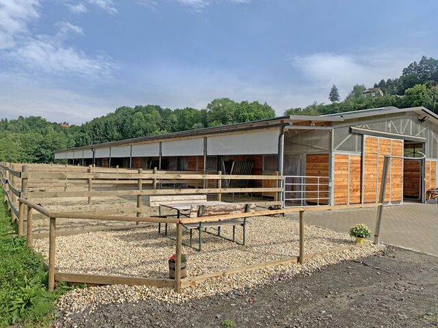 Österreich, Steiermark - grosses Haus mit 2 Wohneinheiten, Pferdestall, Reitplatz zu verkaufen!, Sabine Wesseln, Maras World of Horses (Maras World of Horses, Maras World Solutions S.L.), Nieruchomości jeździeckie, Edelsbach bei Feldbach, Image 5