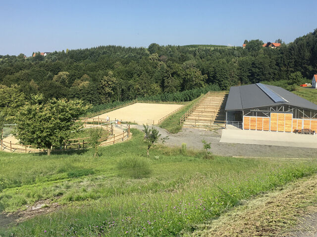 Österreich, Steiermark - grosses Haus mit 2 Wohneinheiten, Pferdestall, Reitplatz zu verkaufen!, Sabine Wesseln, Maras World of Horses (Maras World of Horses, Maras World Solutions S.L.), Nieruchomości jeździeckie, Edelsbach bei Feldbach, Image 2