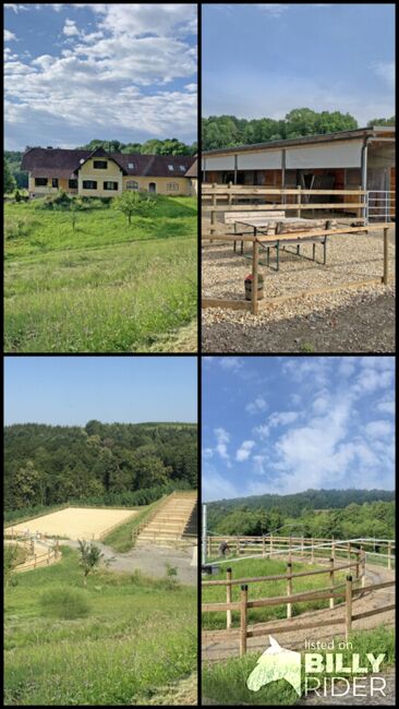 Österreich, Steiermark - grosses Haus mit 2 Wohneinheiten, Pferdestall, Reitplatz zu verkaufen!, Sabine Wesseln, Maras World of Horses (Maras World of Horses, Maras World Solutions S.L.), Nieruchomości jeździeckie, Edelsbach bei Feldbach, Image 7