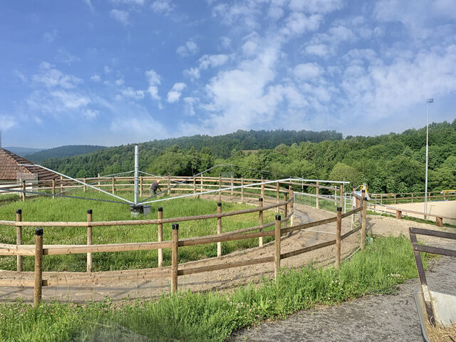 Österreich, Steiermark - grosses Haus mit 2 Wohneinheiten, Pferdestall, Reitplatz zu verkaufen!, Sabine Wesseln, Maras World of Horses (Maras World of Horses, Maras World Solutions S.L.), Nieruchomości jeździeckie, Edelsbach bei Feldbach, Image 4