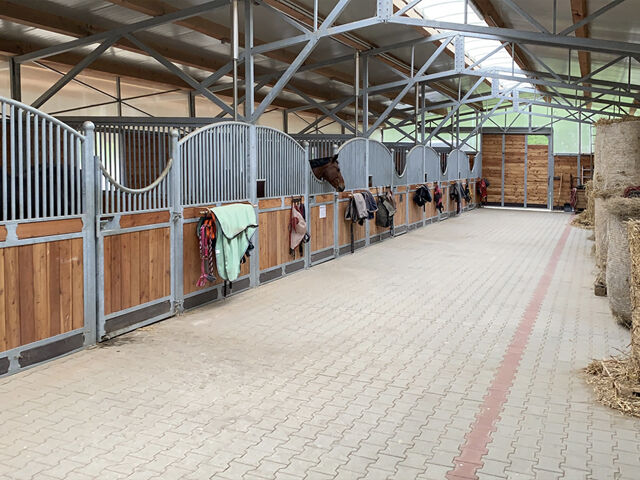 Österreich, Steiermark - grosses Haus mit 2 Wohneinheiten, Pferdestall, Reitplatz zu verkaufen!, Sabine Wesseln, Maras World of Horses (Maras World of Horses, Maras World Solutions S.L.), Nieruchomości jeździeckie, Edelsbach bei Feldbach, Image 6