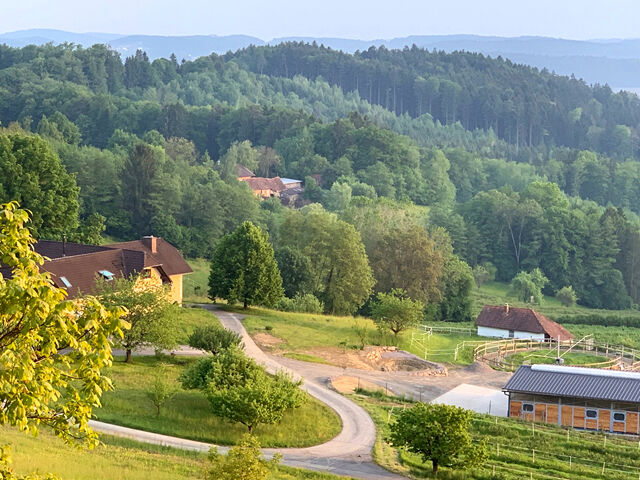 Österreich, Steiermark - grosses Haus mit 2 Wohneinheiten, Pferdestall, Reitplatz zu verkaufen!, Sabine Wesseln, Maras World of Horses (Maras World of Horses, Maras World Solutions S.L.), Nieruchomości jeździeckie, Edelsbach bei Feldbach, Image 3