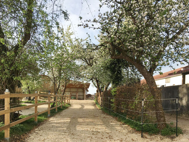 Denkmalprämierstes Jurahaus mit Pferdehof und erstklassiger Reithalle, Die Denkmalschutz Immobilie eGbR Sandra Weckmar, Equestrian Properties, Pappenheim, Image 10