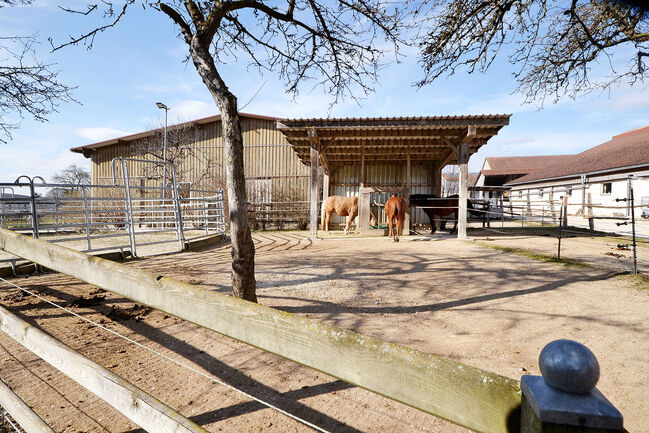 Denkmalprämierstes Jurahaus mit Pferdehof und erstklassiger Reithalle, Die Denkmalschutz Immobilie eGbR Sandra Weckmar, Equestrian Properties, Pappenheim, Image 11