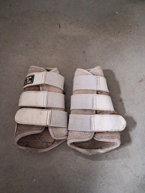 Back on track Gamaschen XL, Back on track , Jenny, Tendon Boots, Wangen 