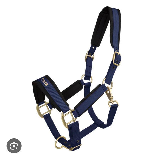 Back on Track Halter full, Back on Track Werano, Fiammetta, Kantary, Trofarello