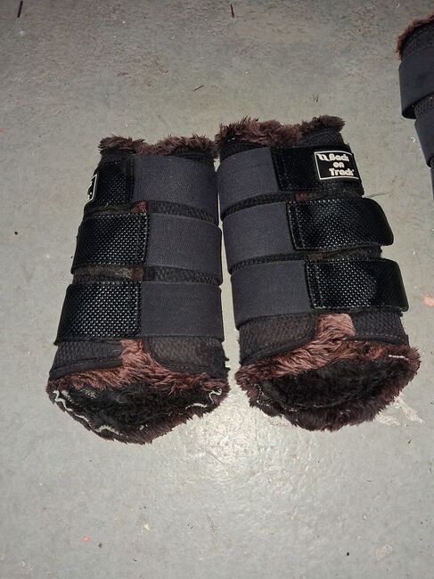 Back on track Gamaschen, Back on track, Jenny, Tendon Boots, Wangen 