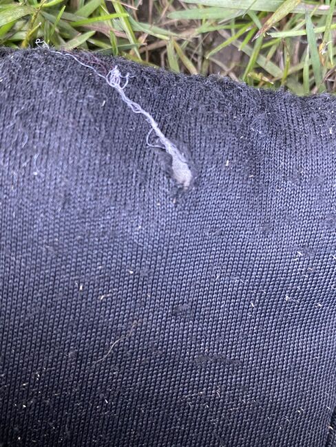 Back on Track Welltex Gamaschen L, Laura S., Tendon Boots, Solingen, Image 6