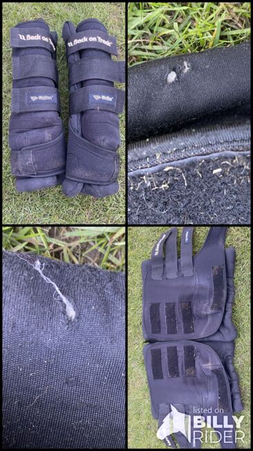 Back on Track Welltex Gamaschen L, Laura S., Tendon Boots, Solingen, Image 7