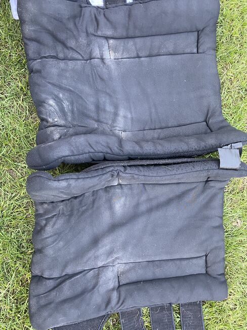 Back on Track Welltex Gamaschen L, Laura S., Tendon Boots, Solingen, Image 3