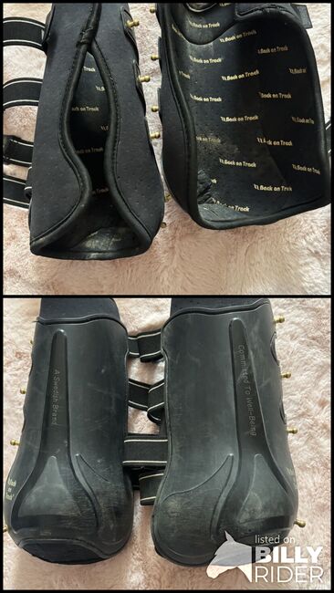 Arbeitsgamaschen Back on Track hinten, Back on Track, Maira, Tendon Boots, Essen, Image 3