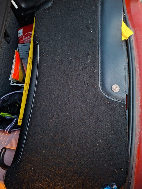 Back & Track Westernpad, Back & Track  Pad, SJ, Western Pads, Berlin