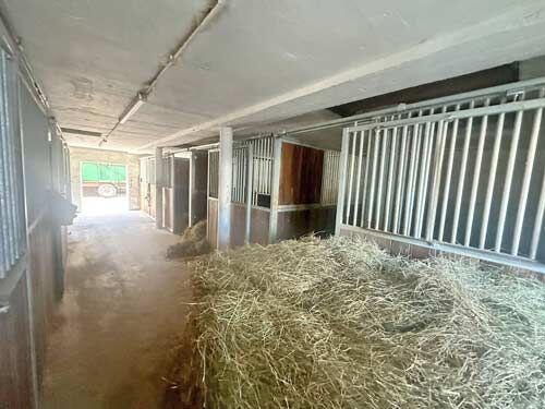 Baden-Württemberg, Landkreis Heilbronn - Reitanlage zu verkaufen!, Sabine Wesseln, Maras World of Horses (Maras World of Horses, Maras World Solutions S.L.), Equestrian Properties, Obersulm, Image 6