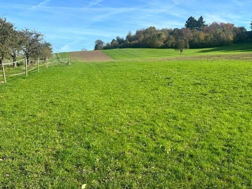 Baden-Württemberg, Landkreis Heilbronn - Reitanlage zu verkaufen!, Sabine Wesseln, Maras World of Horses (Maras World of Horses, Maras World Solutions S.L.), Equestrian Properties, Obersulm, Image 9