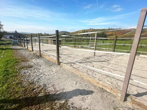 Baden-Württemberg, Landkreis Heilbronn - Reitanlage zu verkaufen!, Sabine Wesseln, Maras World of Horses (Maras World of Horses, Maras World Solutions S.L.), Equestrian Properties, Obersulm, Image 8