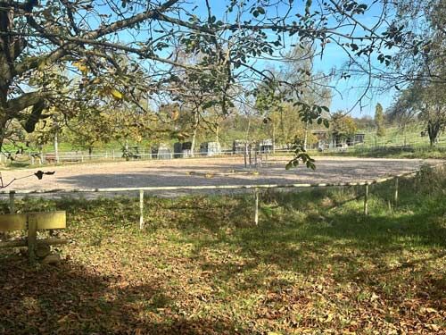 Baden-Württemberg, Landkreis Heilbronn - Reitanlage zu verkaufen!, Sabine Wesseln, Maras World of Horses (Maras World of Horses, Maras World Solutions S.L.), Equestrian Properties, Obersulm, Image 7
