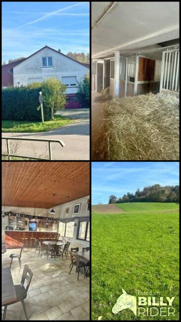Baden-Württemberg, Landkreis Heilbronn - Reitanlage zu verkaufen!, Sabine Wesseln, Maras World of Horses (Maras World of Horses, Maras World Solutions S.L.), Equestrian Properties, Obersulm, Image 10