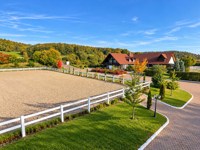 Baden-Württemberg, Heilbronn-Heidelberg, Luxusanwesen mit Pferdestall und Reitplatz zu verkaufen!, Sabine Wesseln, Maras World of Horses (Maras World Solutions S.L.), Nieruchomości jeździeckie, Binau