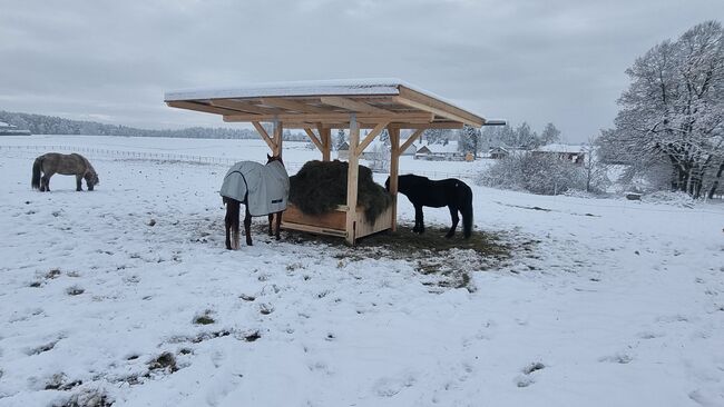 Heuraufe mit Überdachung, Brigitta, Schroniska i namioty dla koni, Eisgarn