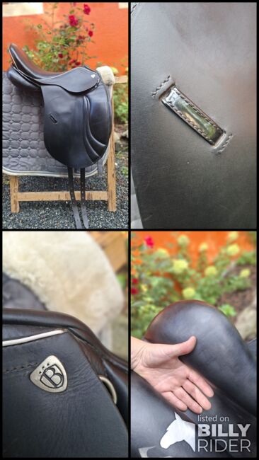 Bagual Sapucay 18 zoll, Bagual  Sapucay , Kathrin , Dressursattel, Müglitztal, Abbildung 15