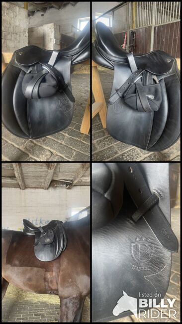 Bagual VS 17 Zoll, Bagual , Milena  Fricke , All Purpose Saddle, Algermissen , Image 11