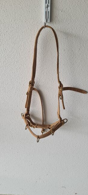 Balancio von Balanced Horseman (Vorgängerversion ohne Naseneisen), Balanced Horseman Balancio ohne Naseneisen, Daniel, Pomoce szkoleniowe , Illerkirchberg