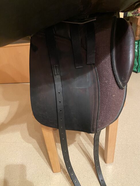 Balance Sattel Equinox Dressage, braun NO 3C BALANCE saddle, Balance Saddle Equinox Dressage, Katja Huger, Dressage Saddle, Bad Dürrheim, Image 14