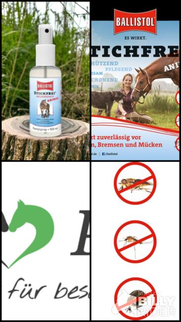 Ballistol Stichfrei Animal gegen stechende Insekten 100ml UVP 8,99€, WOW Pferd  (WOW Pferd), Ochrona koni przed owadami , Bayern - Attenkirchen, Image 5